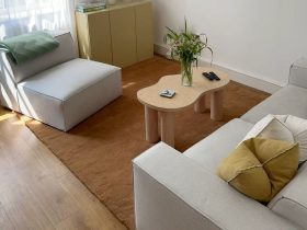 A tan rug beneath a pale sofa, an armless chair, and a curved wooden coffee table.